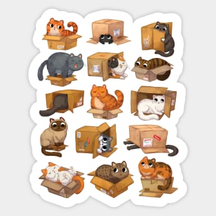 Cat in Boxes Sticker